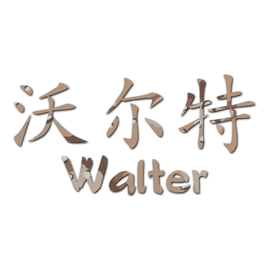 Chinese Symbol Walter Name - Decal Sticker - Multiple Patterns